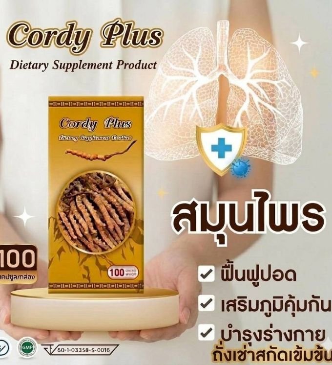ถั่งเช่าคอร์ดี้พลัส