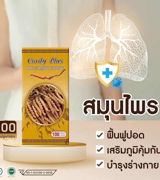 STARTER ถังเช่าสกัดผสมเบต้ากลูแคน 100แคปซูลจำนวน1กล่อง